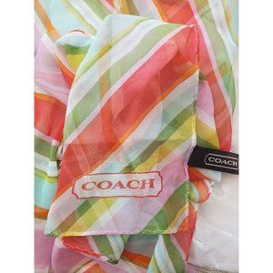 Coach Multicolor Striped Scarf
